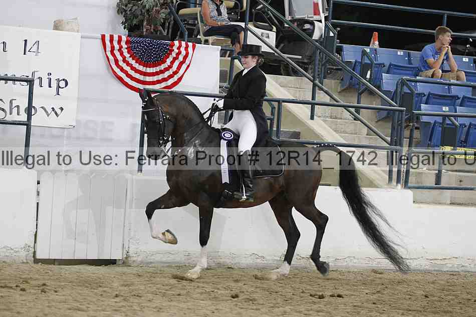 Proof Number 12r14_1742