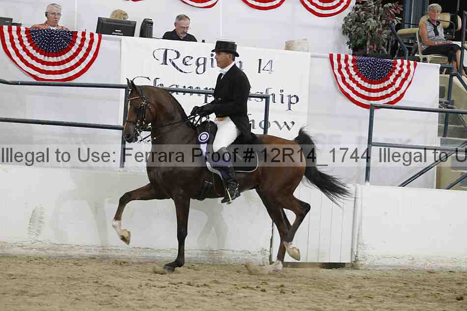 Proof Number 12r14_1744