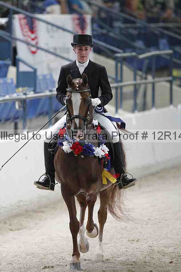 Proof Number 12r14_1745