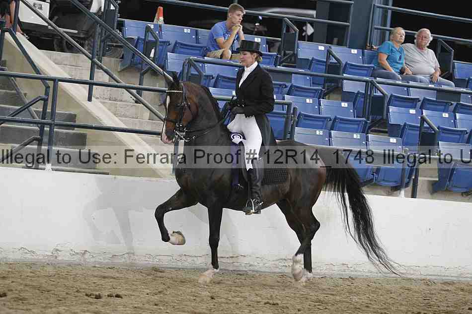 Proof Number 12r14_1748