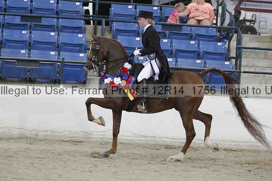 Proof Number 12r14_1756