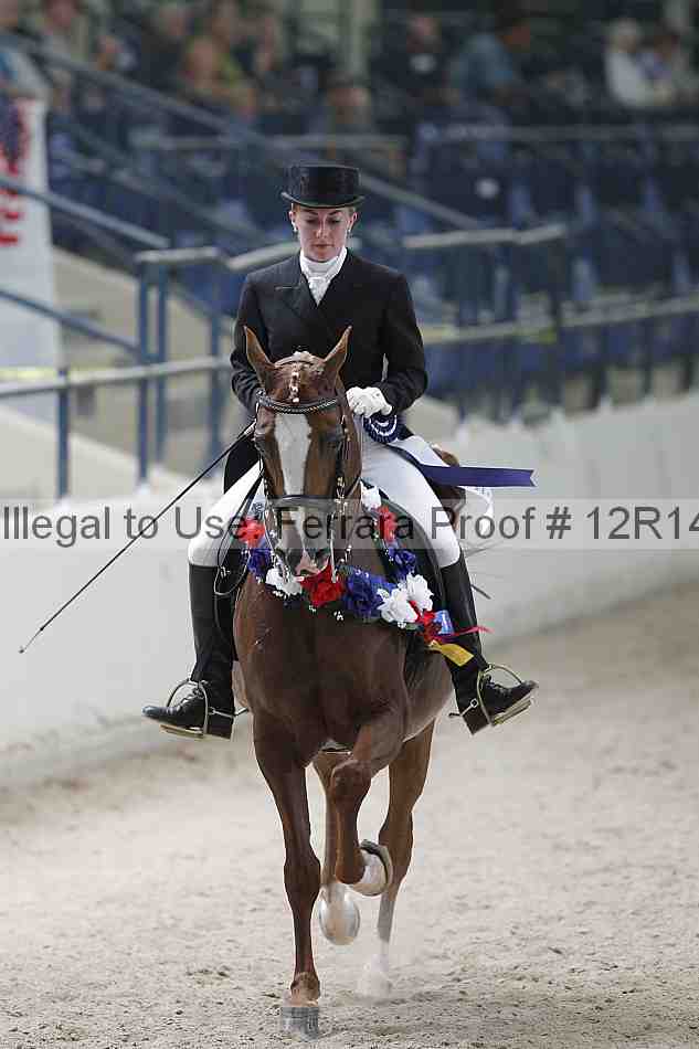 Proof Number 12r14_1762