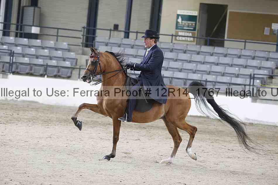 Proof Number 12r14_1767