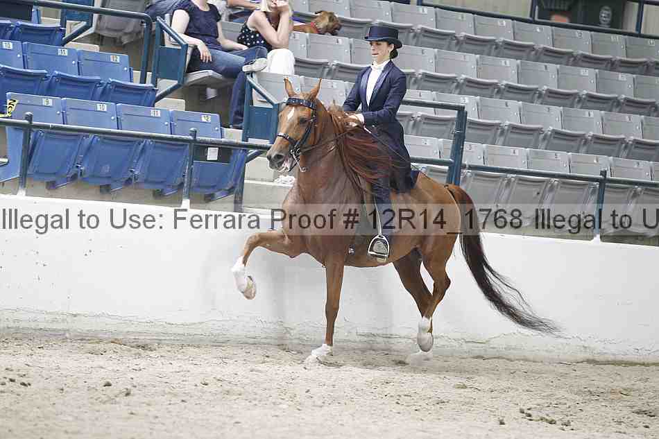 Proof Number 12r14_1768