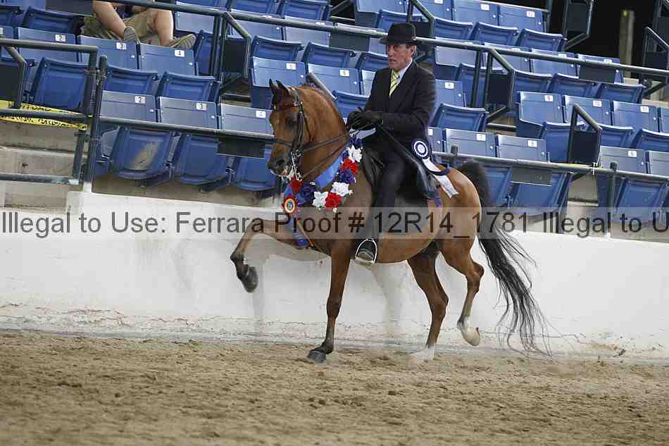 Proof Number 12r14_1781