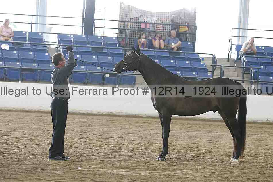 Proof Number 12r14_1924