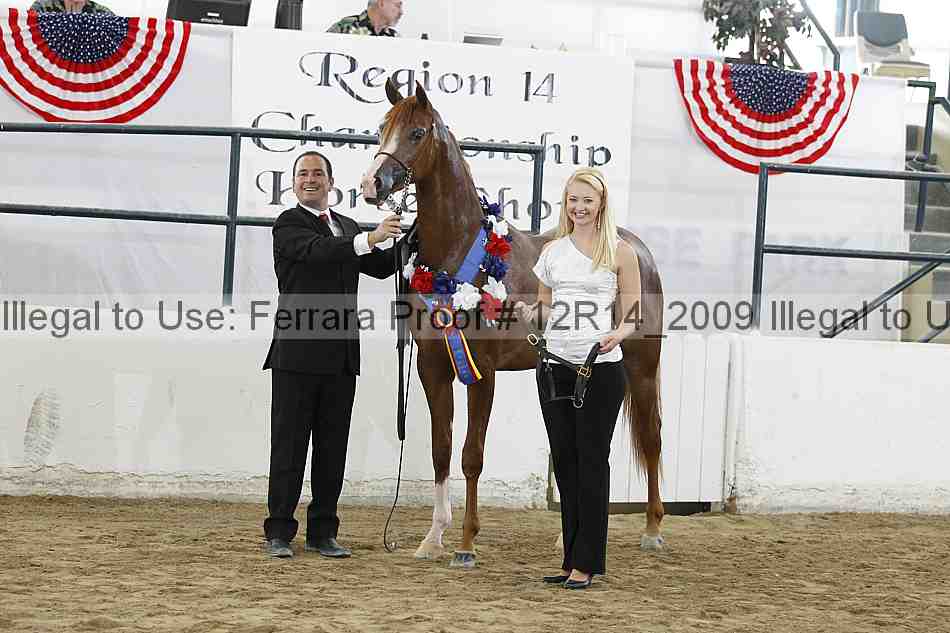 Proof Number 12r14_2009