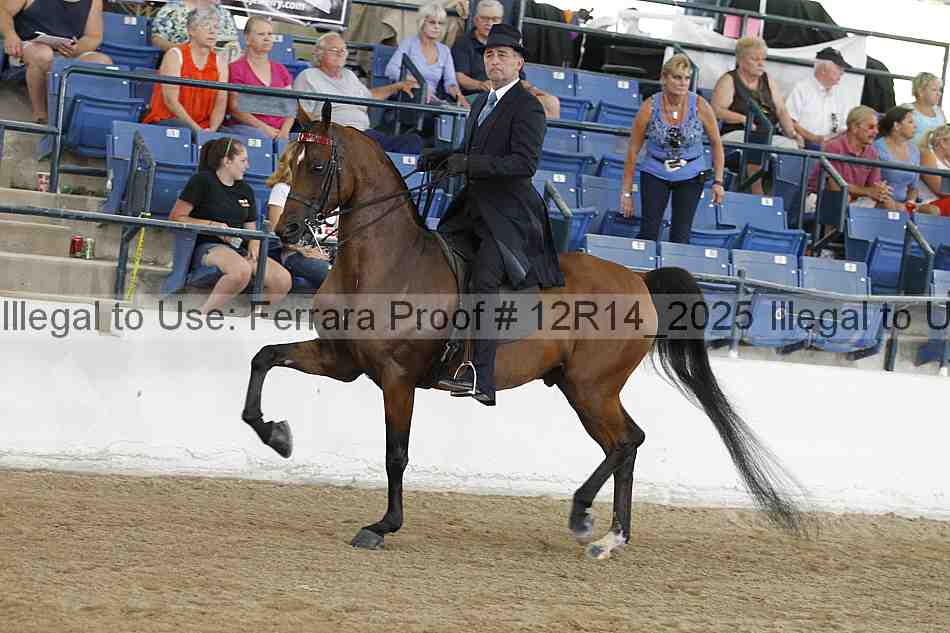 Proof Number 12r14_2025