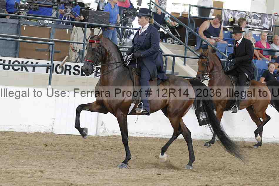 Proof Number 12r14_2036