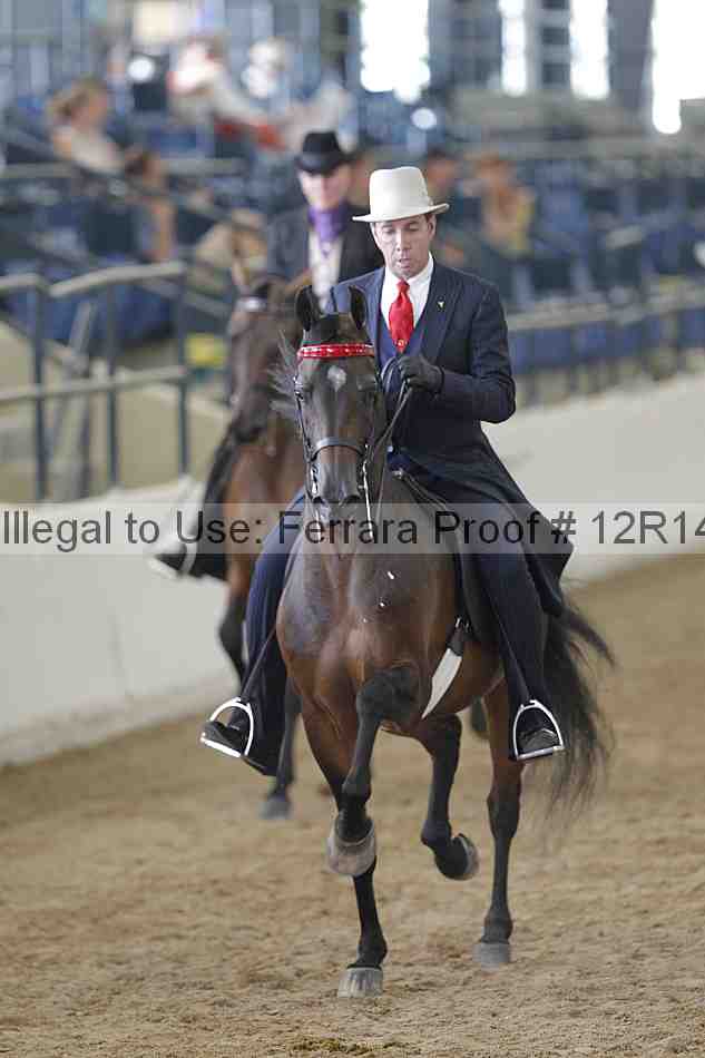 Proof Number 12r14_2038