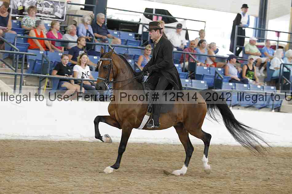 Proof Number 12r14_2042