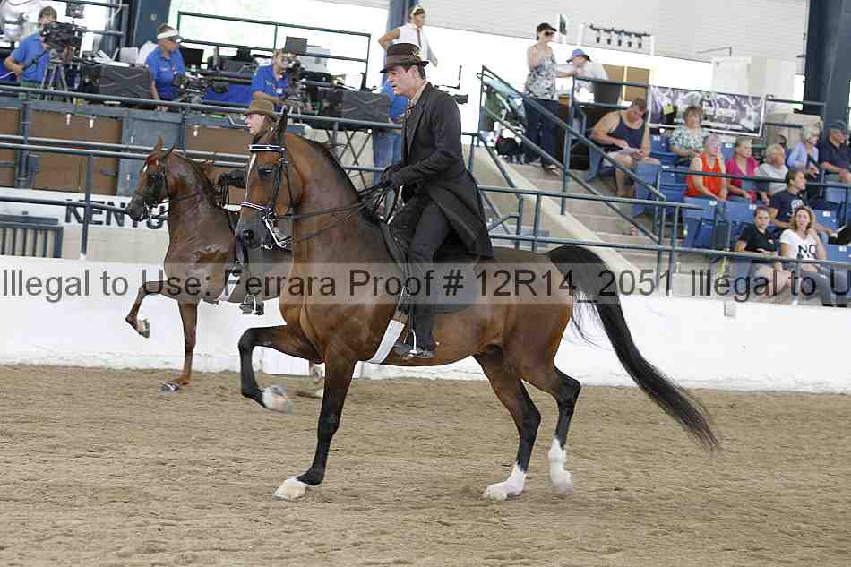 Proof Number 12r14_2051