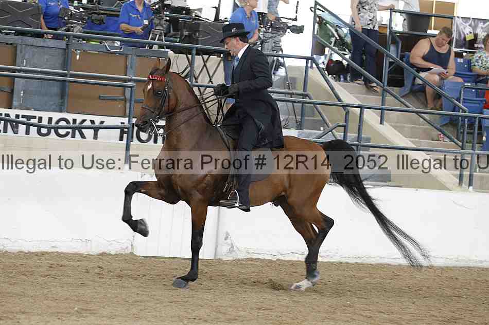 Proof Number 12r14_2052