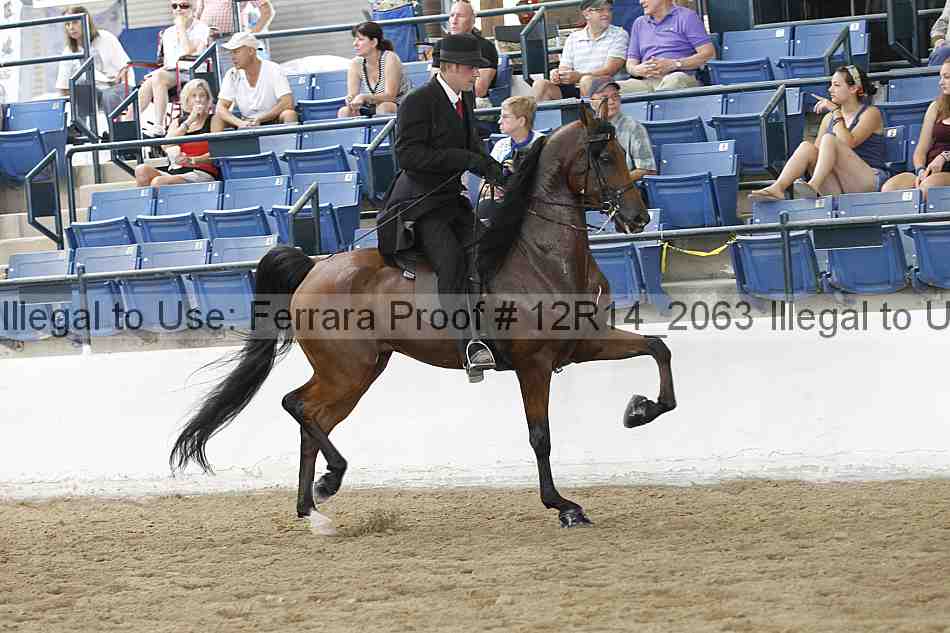 Proof Number 12r14_2063