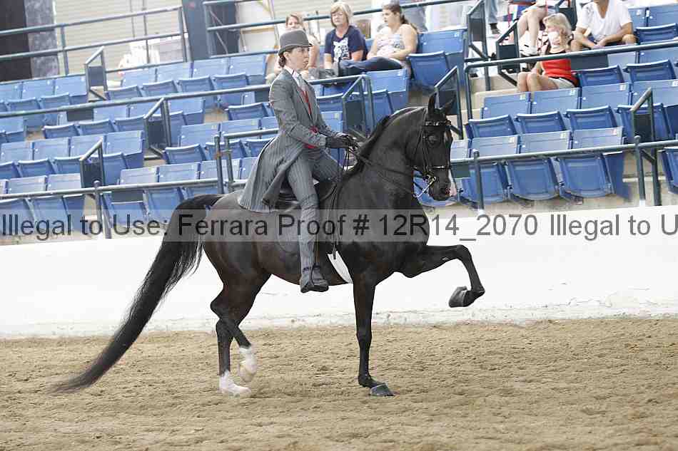 Proof Number 12r14_2070
