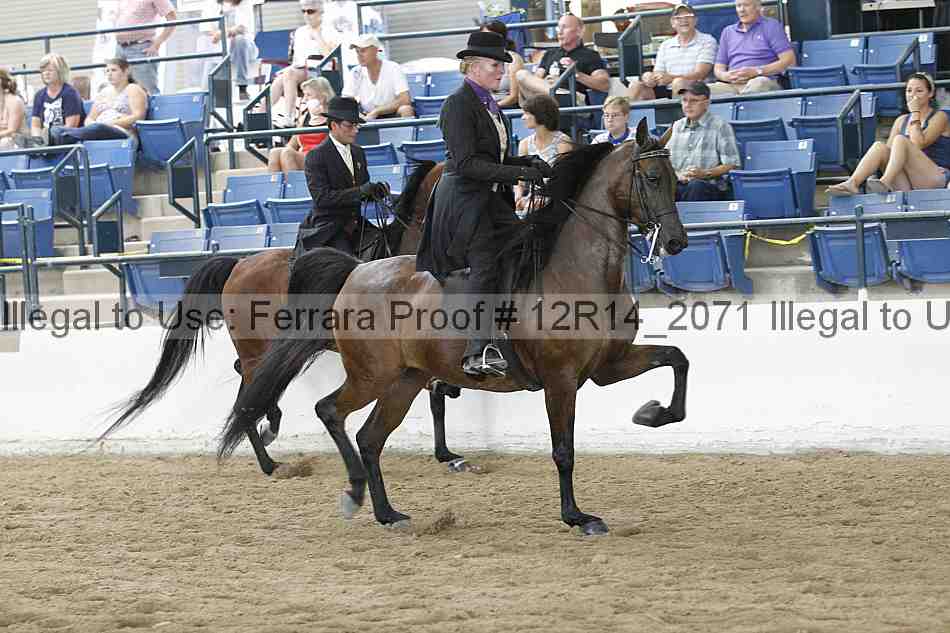 Proof Number 12r14_2071