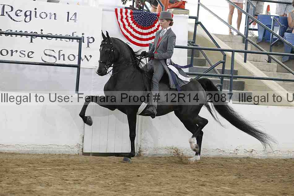 Proof Number 12r14_2087