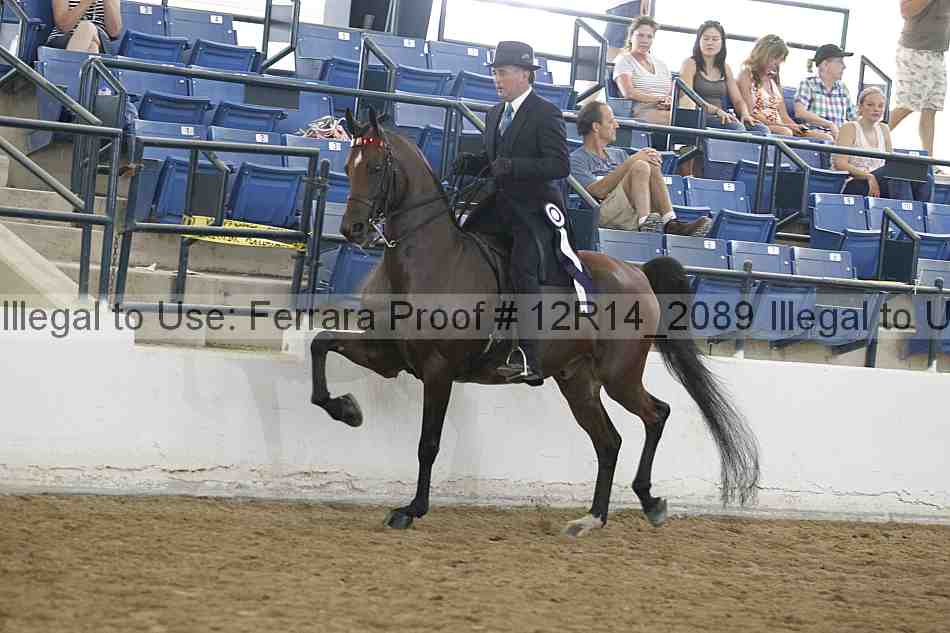 Proof Number 12r14_2089