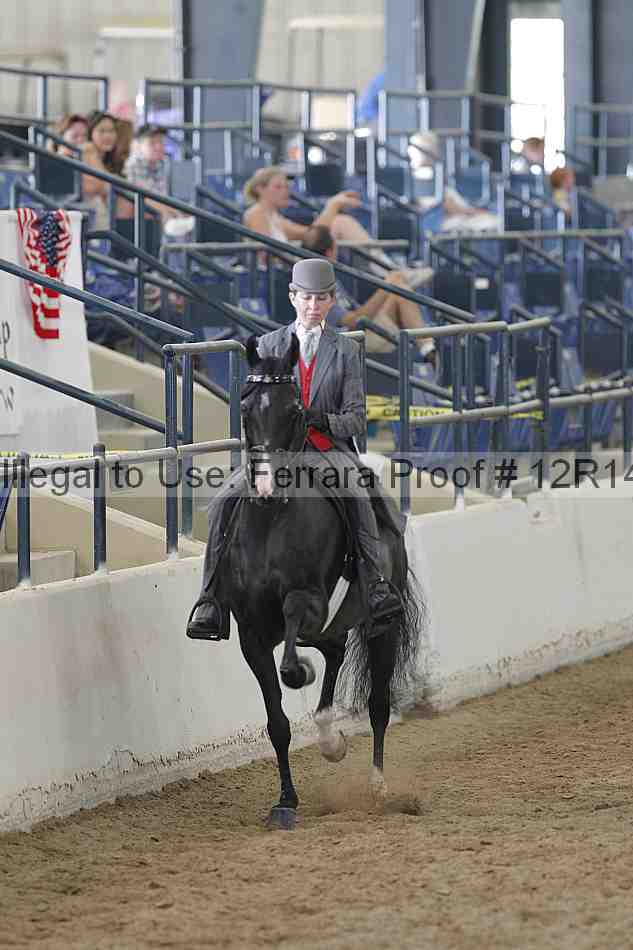 Proof Number 12r14_2092