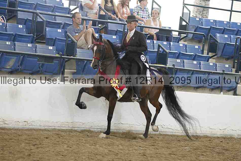 Proof Number 12r14_2095
