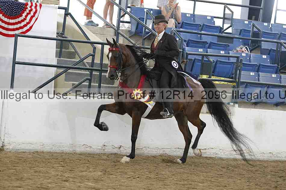 Proof Number 12r14_2096