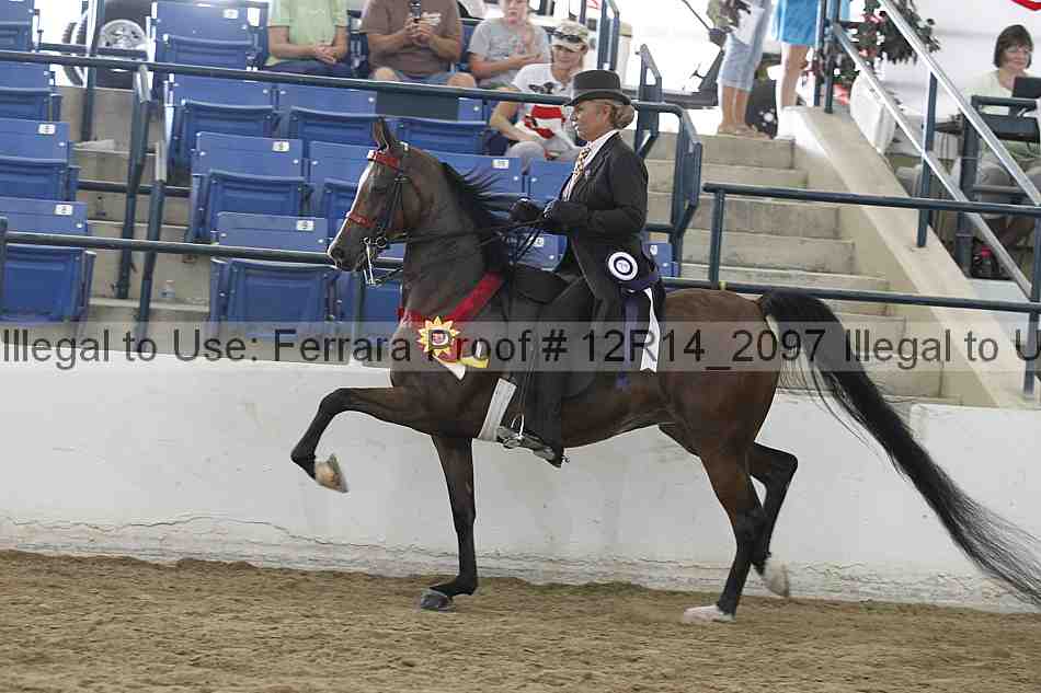 Proof Number 12r14_2097