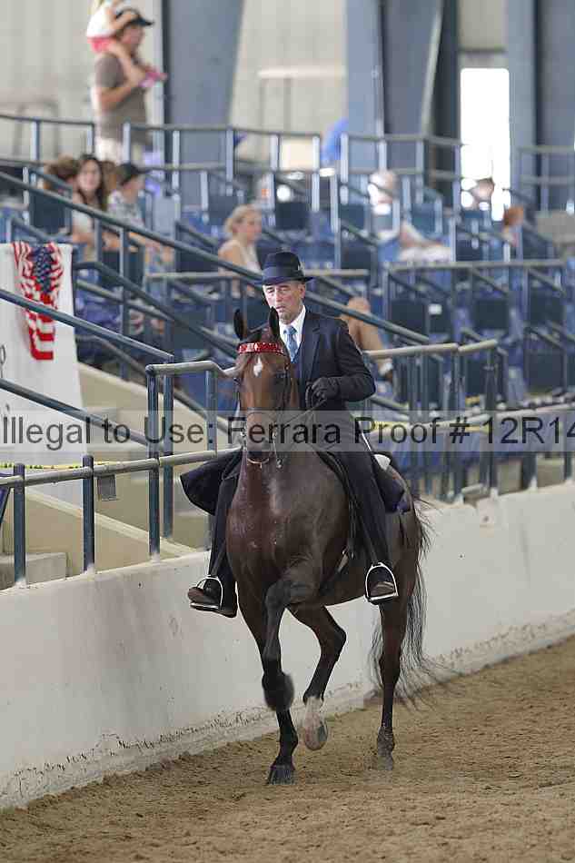 Proof Number 12r14_2099