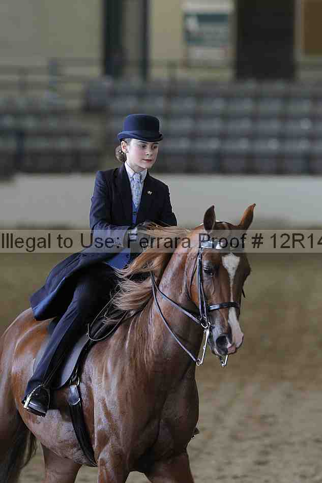Proof Number 12r14_2125