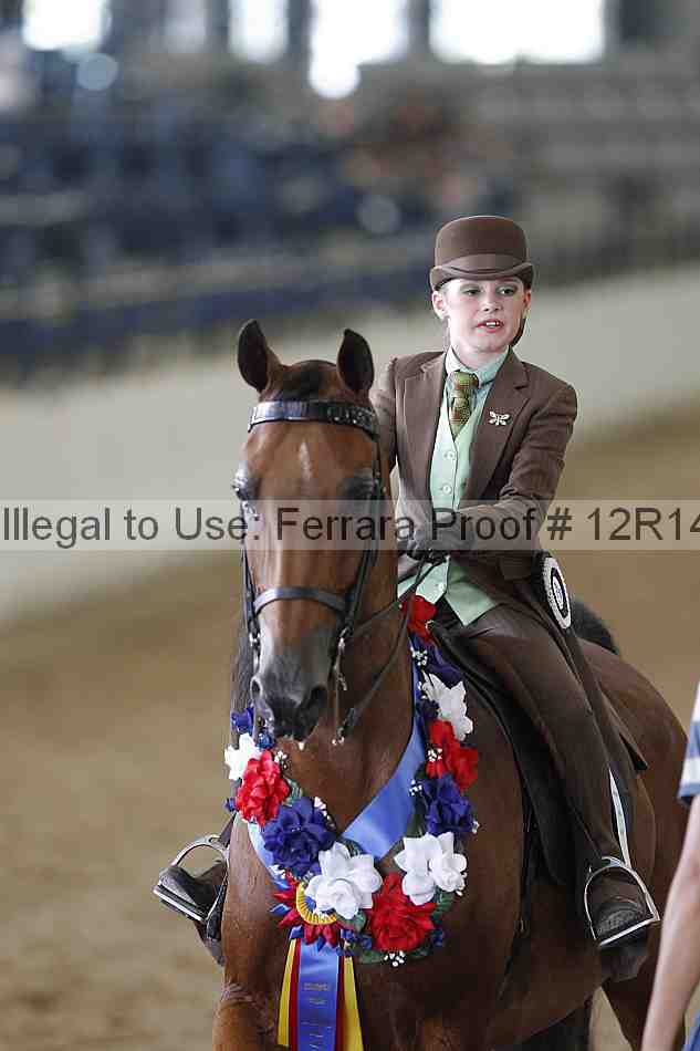 Proof Number 12r14_2148
