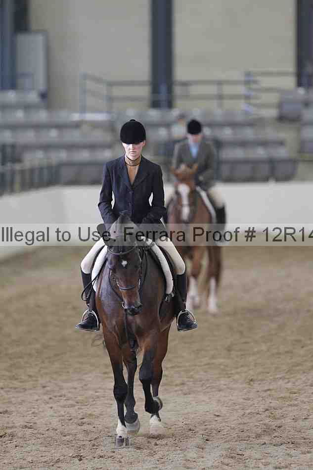 Proof Number 12r14_2173