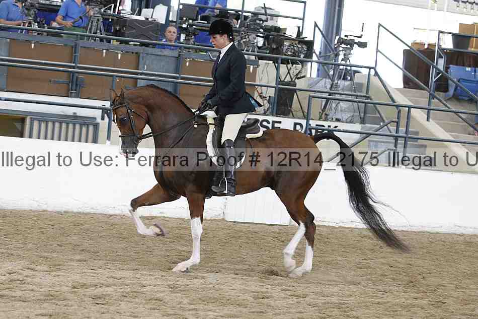 Proof Number 12r14_2175
