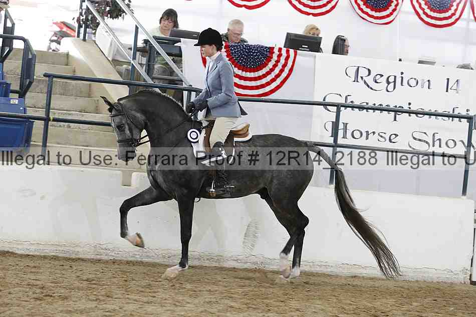 Proof Number 12r14_2188