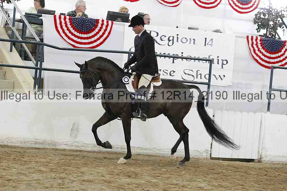 Proof Number 12r14_2190