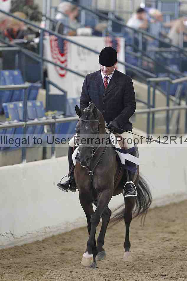 Proof Number 12r14_2199