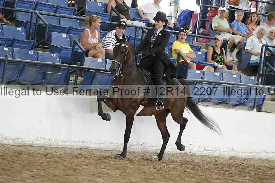 Proof Number 12r14_2207