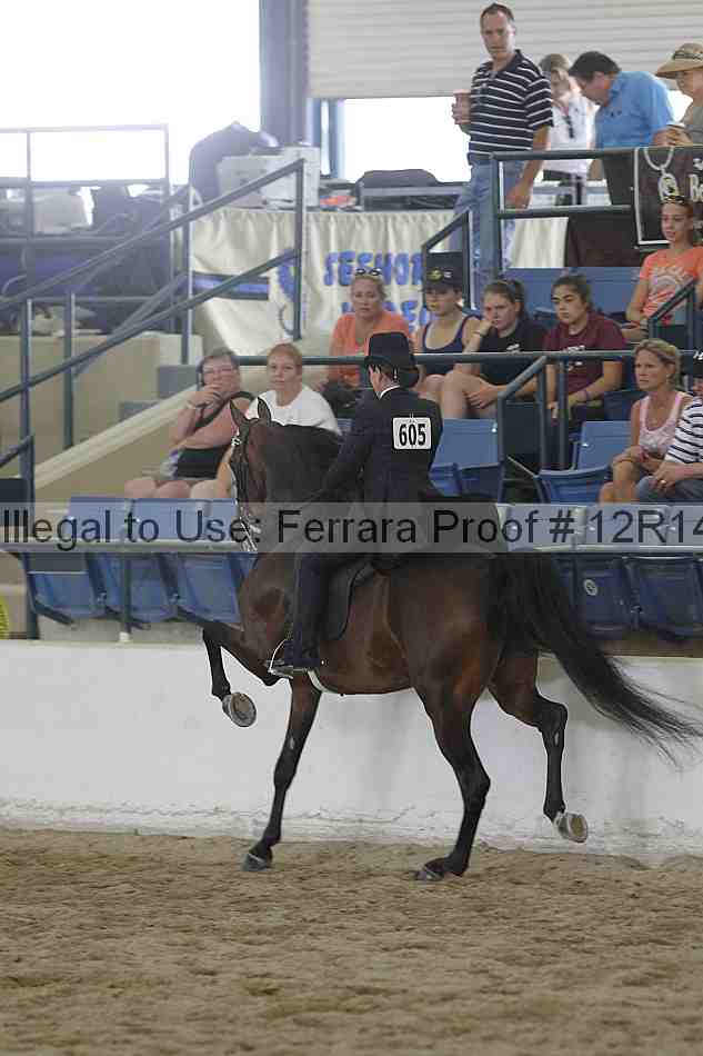 Proof Number 12r14_2211