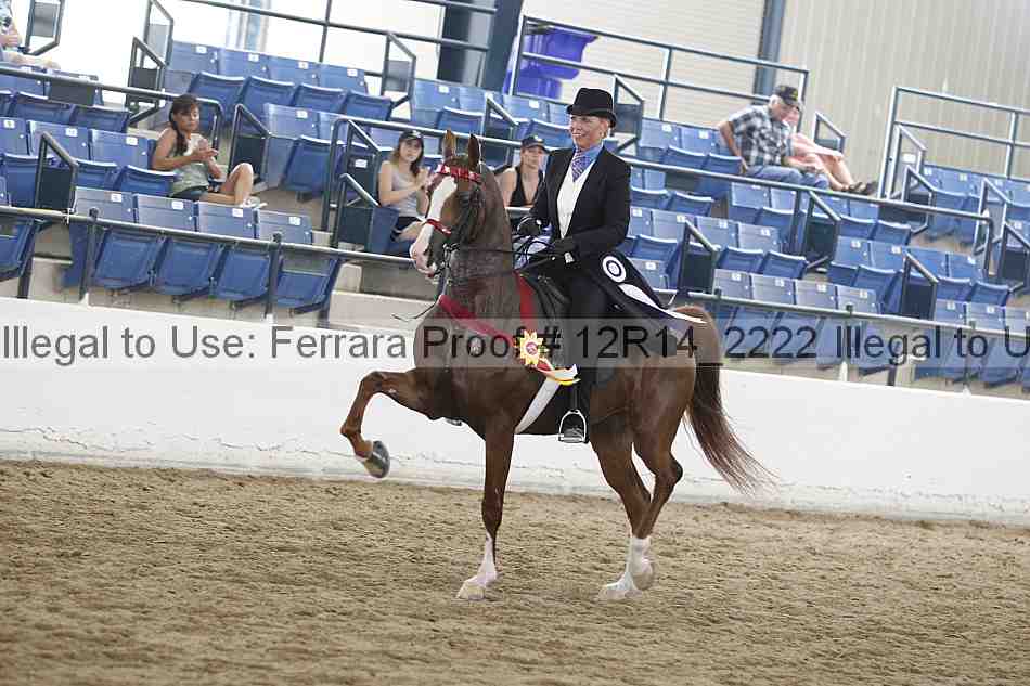 Proof Number 12r14_2222