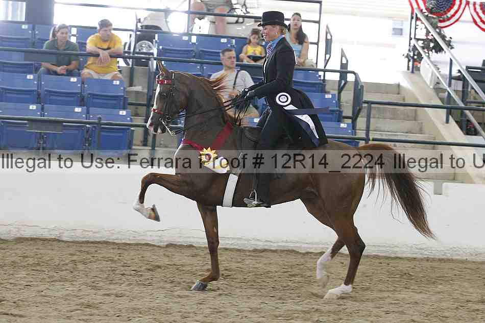 Proof Number 12r14_2224