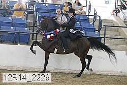 12r14_2229 thumbnail