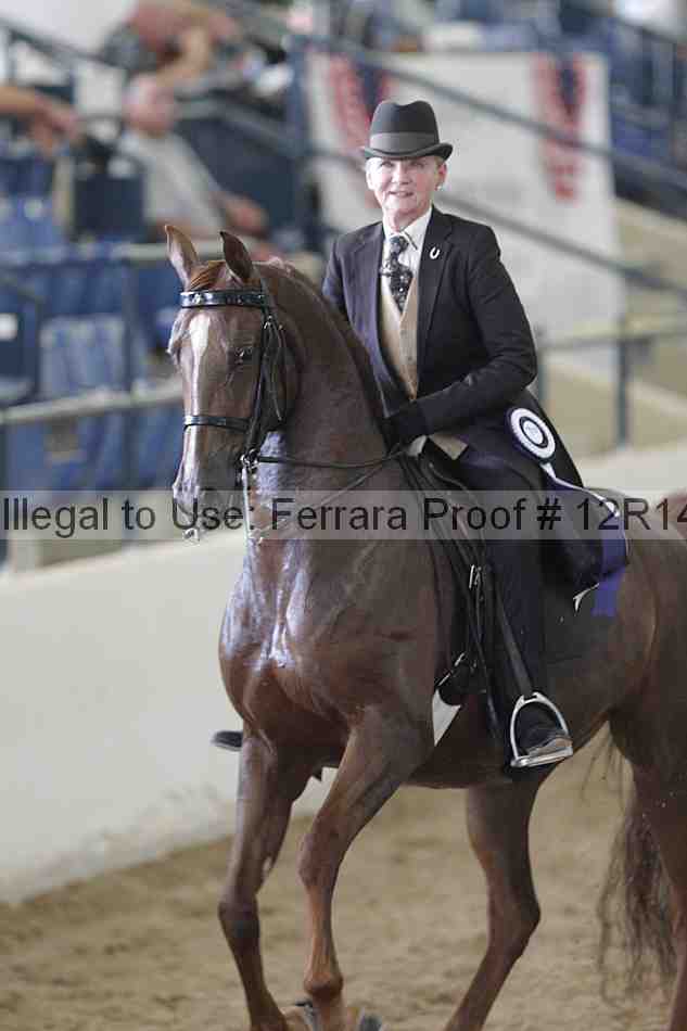 Proof Number 12r14_2230