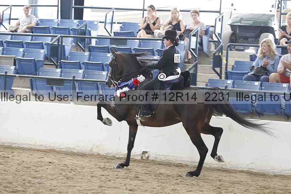Proof Number 12r14_2231