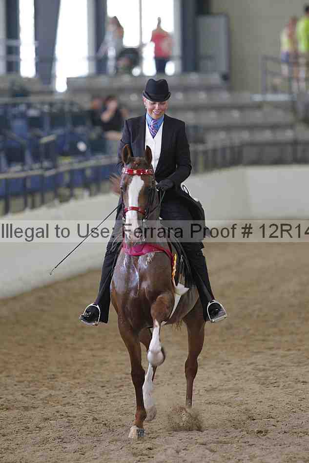 Proof Number 12r14_2232