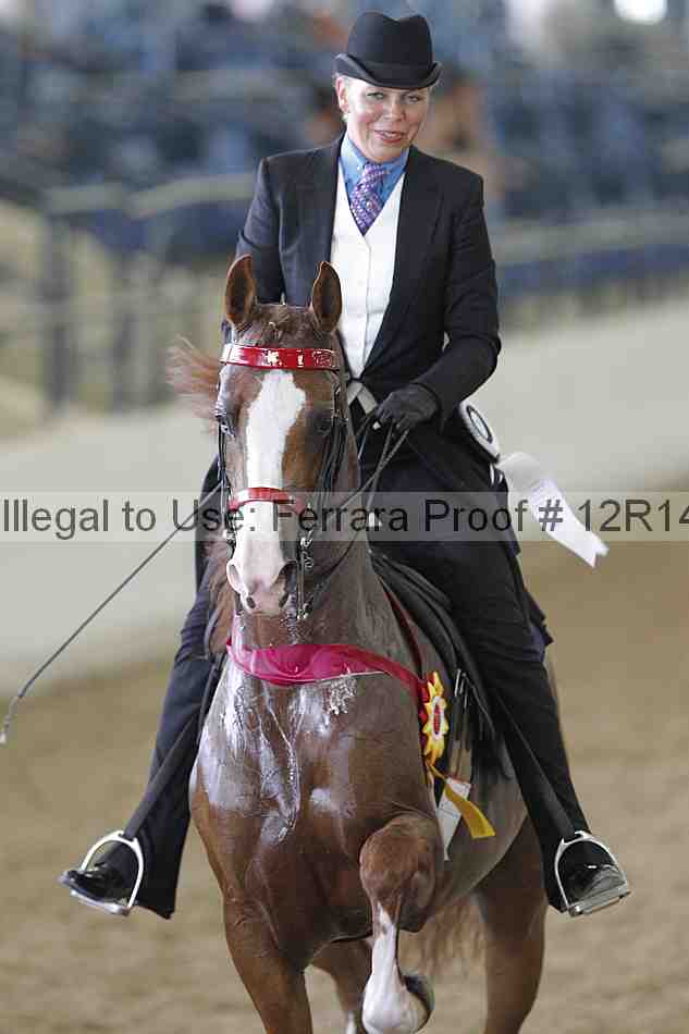 Proof Number 12r14_2233