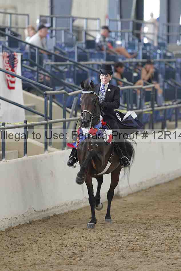 Proof Number 12r14_2235