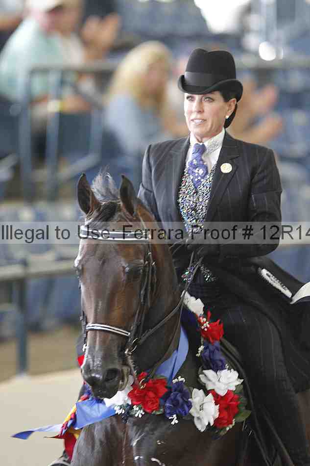 Proof Number 12r14_2236