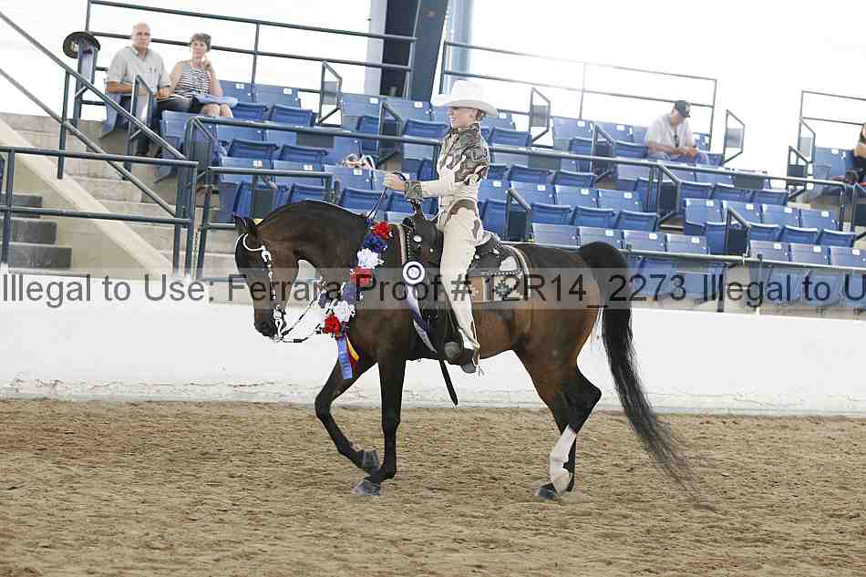 Proof Number 12r14_2273