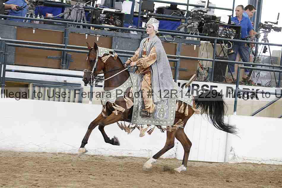 Proof Number 12r14_2294