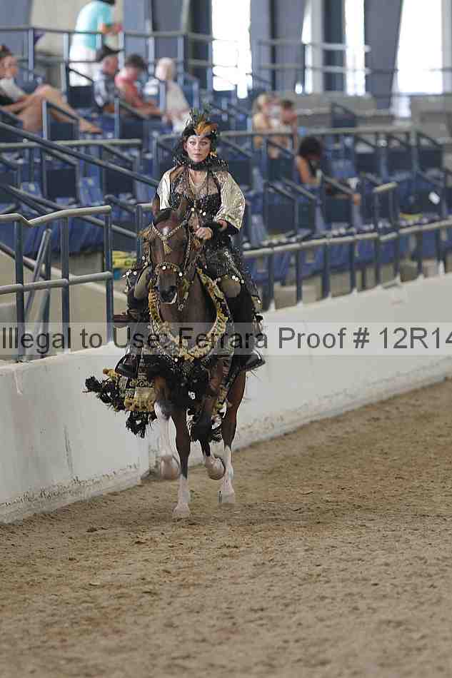 Proof Number 12r14_2300