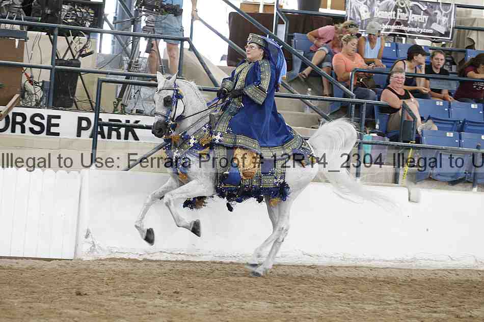 Proof Number 12r14_2304