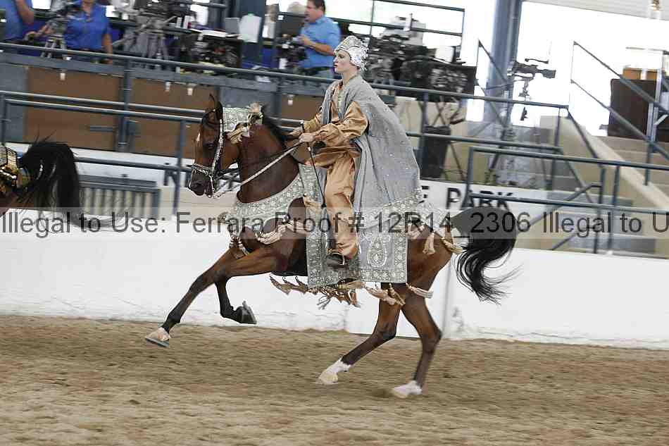 Proof Number 12r14_2306